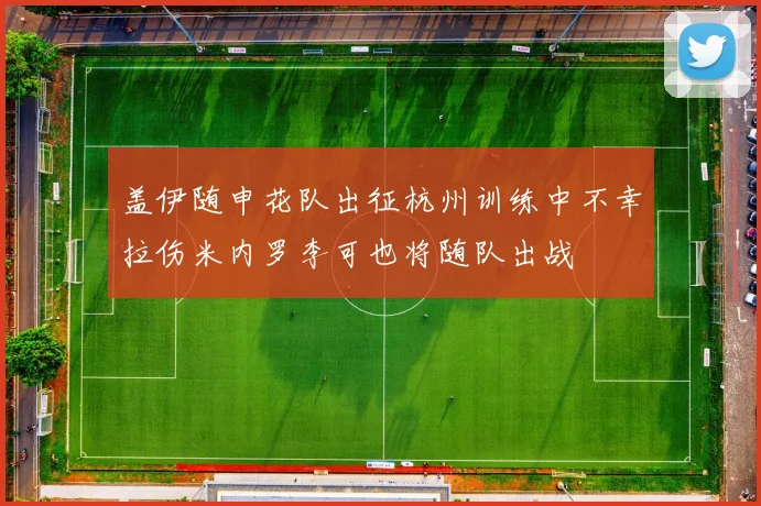 盖伊随申花队出征杭州训练中不幸拉伤米内罗李可也将随队出战