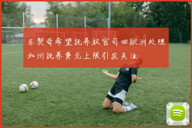 东契奇希望抚养权官司回欧洲处理加州抚养费无上限引发关注