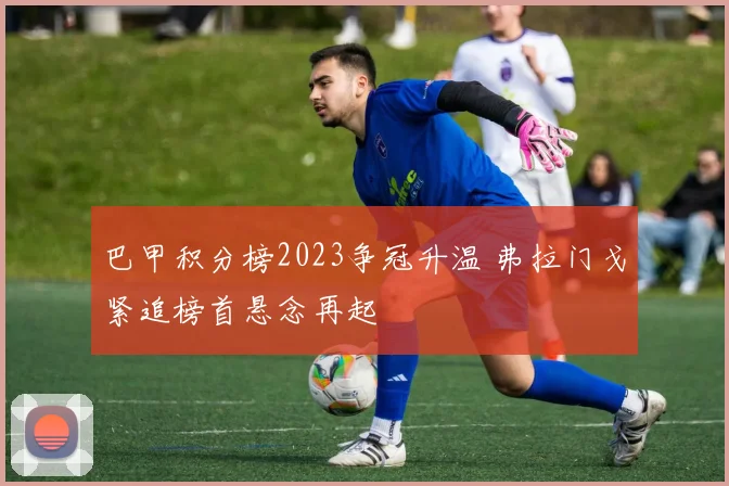 巴甲积分榜2023争冠升温 弗拉门戈紧追榜首悬念再起